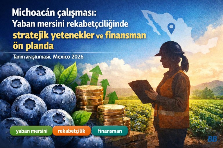 Michoacán çalışması: Yaban mersini rekabetçiliğinde stratejik yetenekler ve finansman ön planda görseli