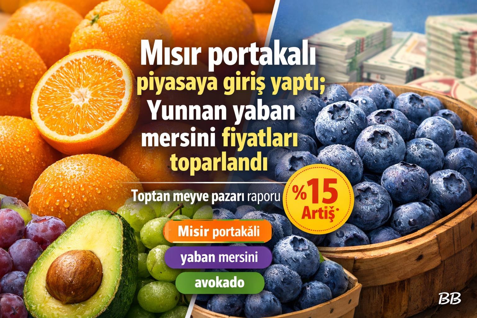 Mısır portakalı piyasaya giriş yaptı; Yunnan yaban mersini fiyatları toparlandı gorseli