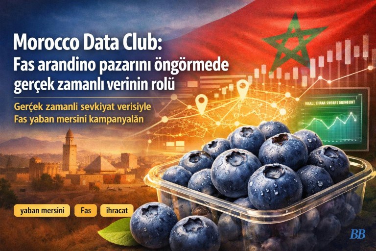 Morocco Data Club: Fas arandino pazarını öngörmede gerçek zamanlı verinin rolü görseli