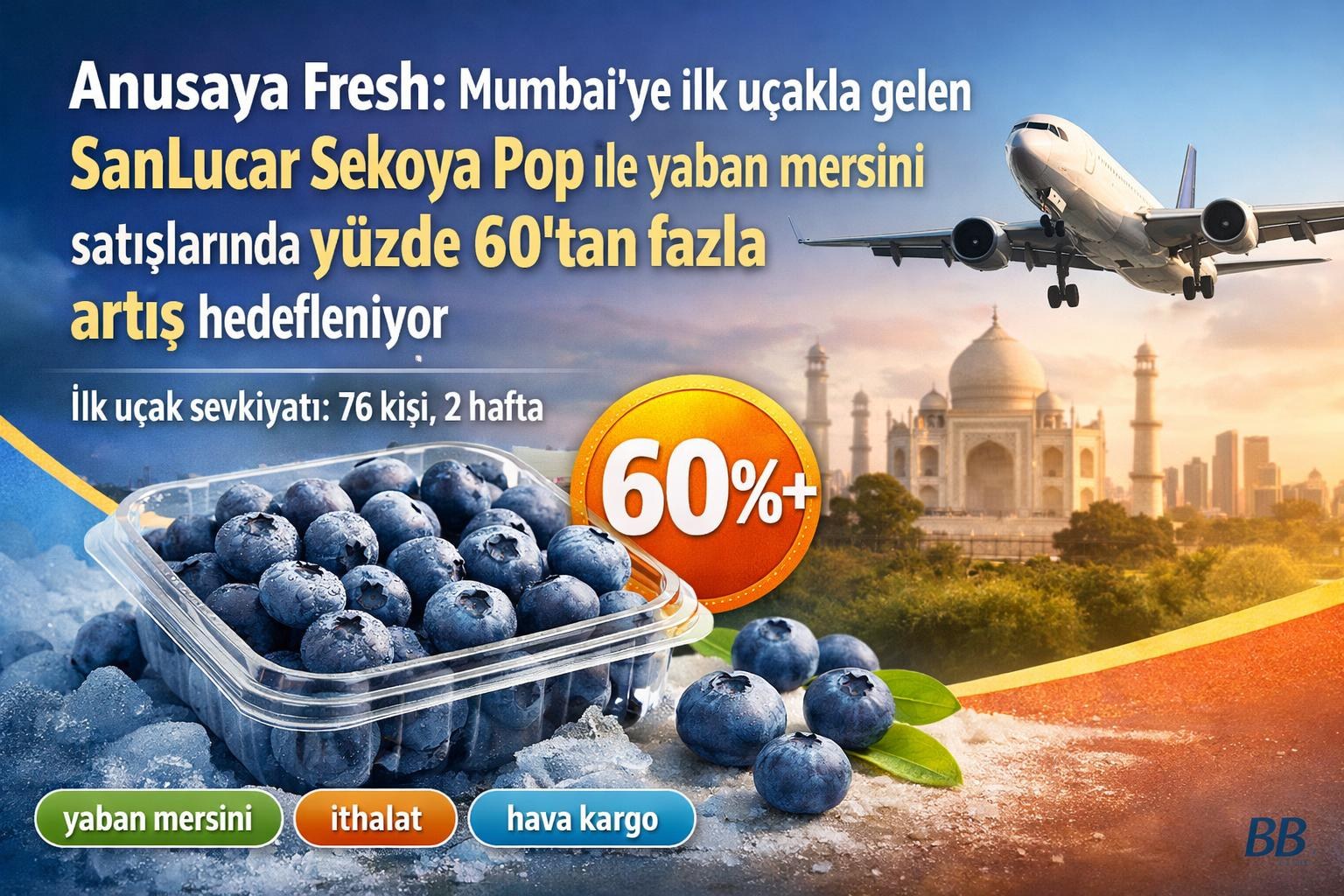 Anusaya Fresh: Mumbai'ye ilk uçakla gelen SanLucar Sekoya Pop ile yaban mersini satışlarında yüzde 60'tan fazla artış hedefleniyor görseli