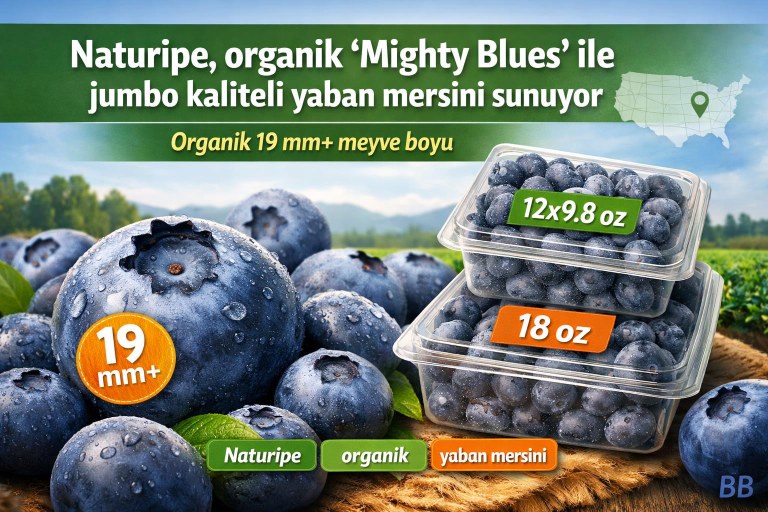 Naturipe Farms, ABD ortasında premium organik yaban mersininde kalite ve boyuta odaklanıyor görseli