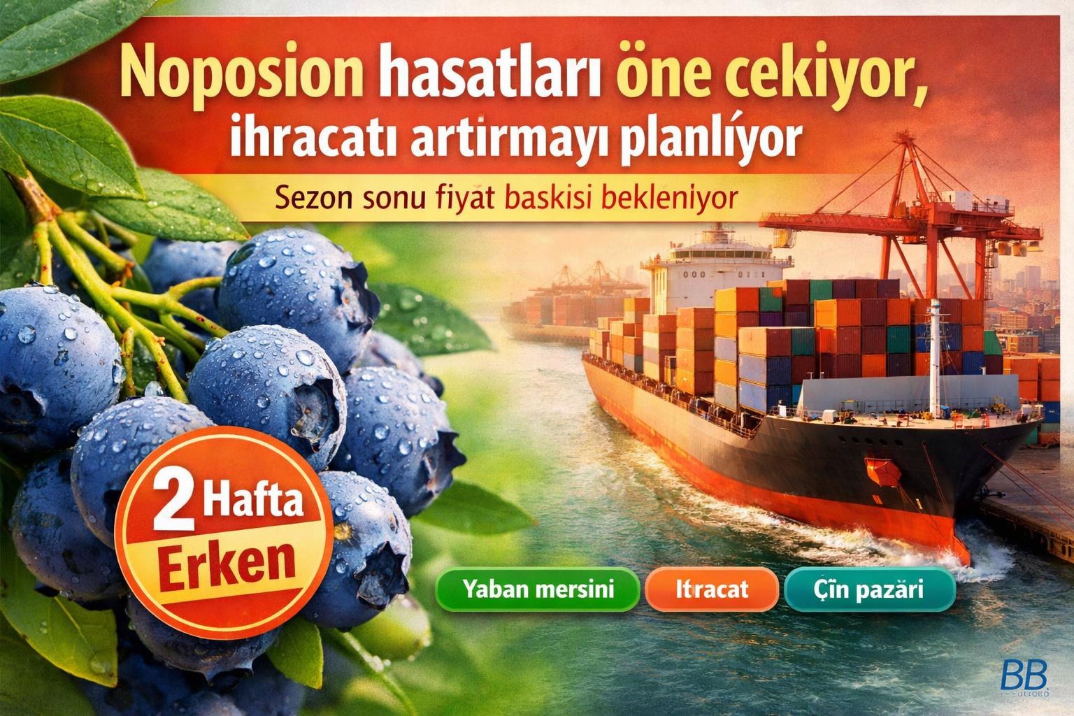 Noposion hasatları öne çekiyor, ihracatı artırmayı planlıyor; sezon sonu fiyat baskısı bekleniyor görseli