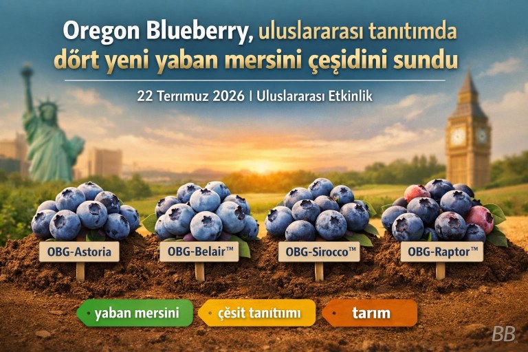 Oregon Blueberry, uluslararası tanıtımda dört yeni yaban mersini çeşidini sundu görseli