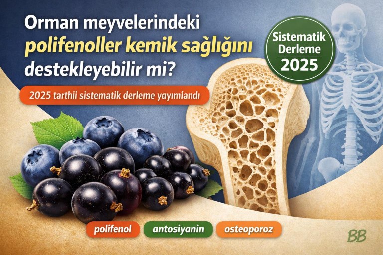 Orman meyvelerindeki polifenoller kemik sağlığını destekleyebilir mi? 2025 tarihli sistematik derleme yayımlandı görseli