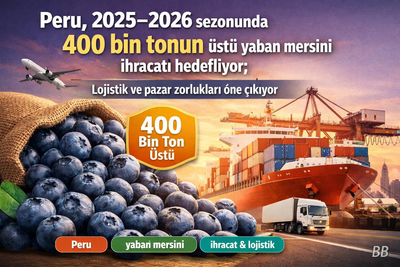 Peru, 2025–2026 sezonunda 400 bin tonun üstü yaban mersini ihracatı hedefliyor; lojistik ve pazar zorlukları öne çıkıyor görseli