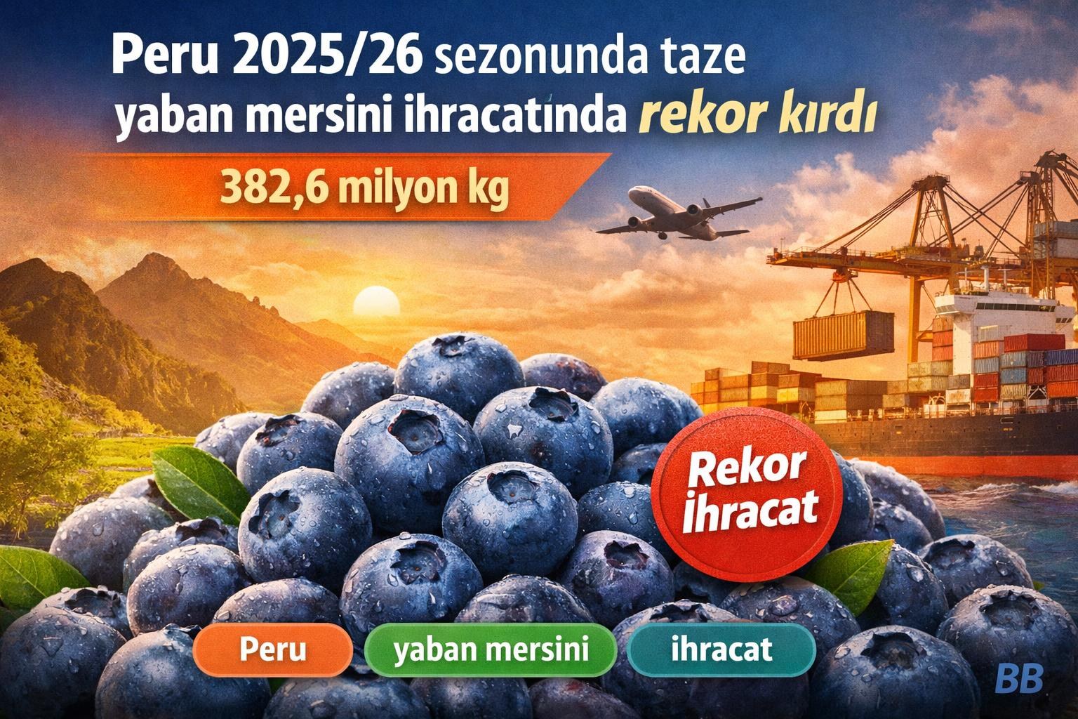 Peru 2025/26 sezonunda taze yaban mersini ihracatında rekor kırdı gorseli