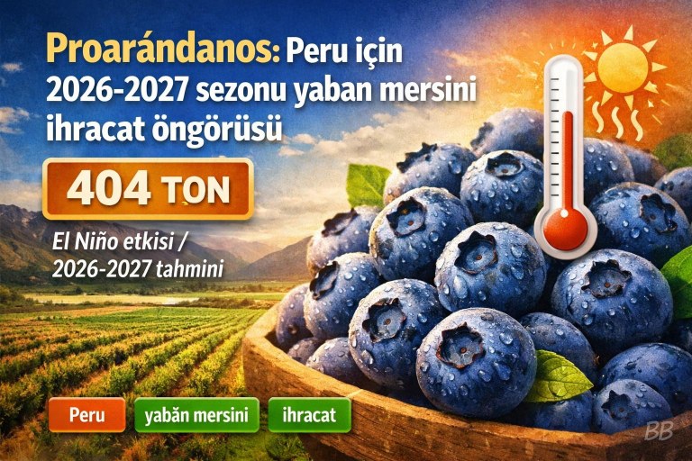 Proarándanos: Peru için 2026-2027 sezonu yaban mersini ihracat öngörüsü (kaynak: 404 belirtilmiş) görseli