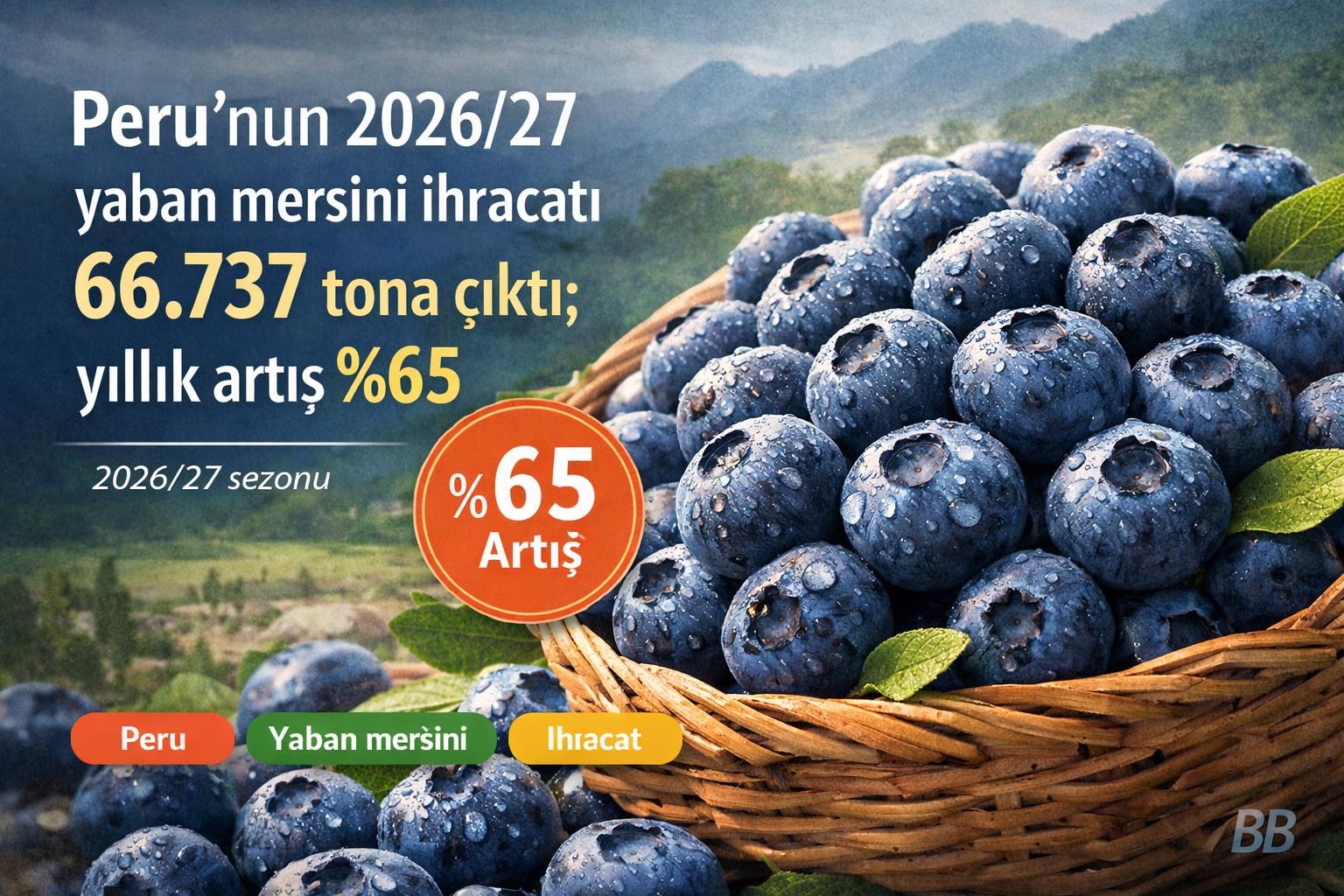 Peru'nun 2026/27 yaban mersini ihracatı 66.737 tona çıktı; yıllık artış %65 gorseli