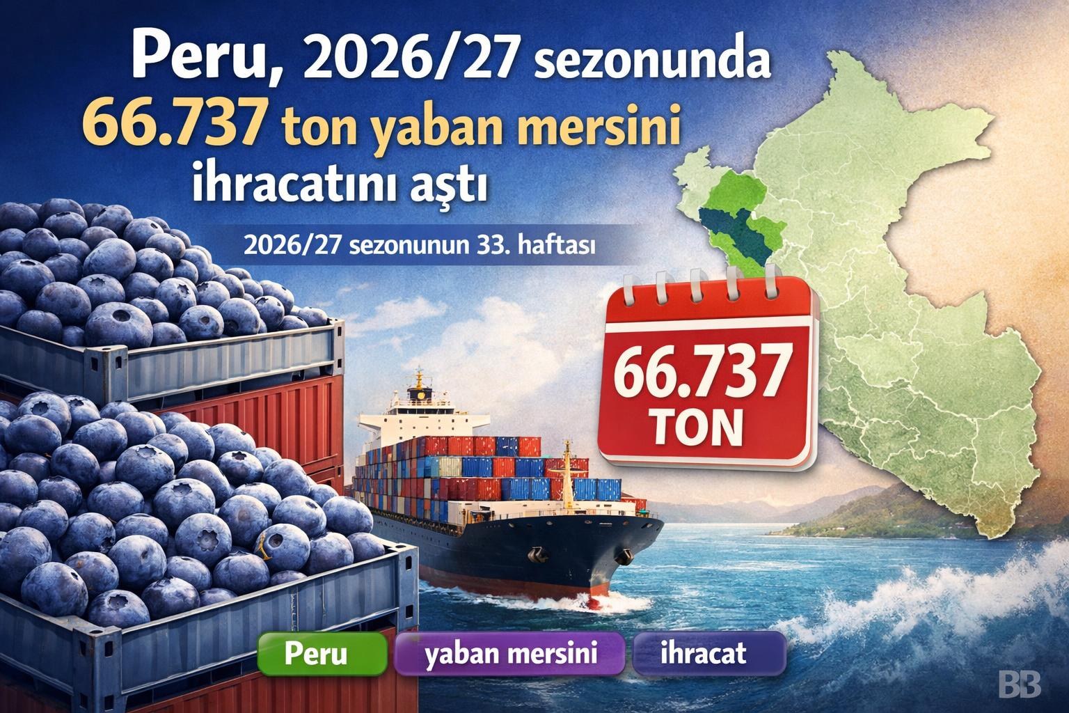 Peru, 2026/27 sezonunda 66.737 ton yaban mersini ihracatını aştı gorseli