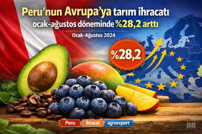 Peru'nun Avrupa'ya tarım ihracatı ocak-ağustos döneminde %28,2 arttı görseli