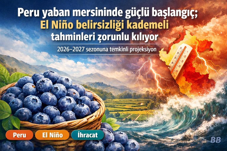 Peru yaban mersininde güçlü başlangıç; El Niño belirsizliği kademeli tahminleri zorunlu kılıyor görseli