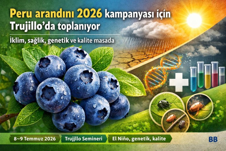 Peru arandını 2026 kampanyası için Trujillo'da toplanıyor: iklim, sağlık, genetik ve kalite masada görseli