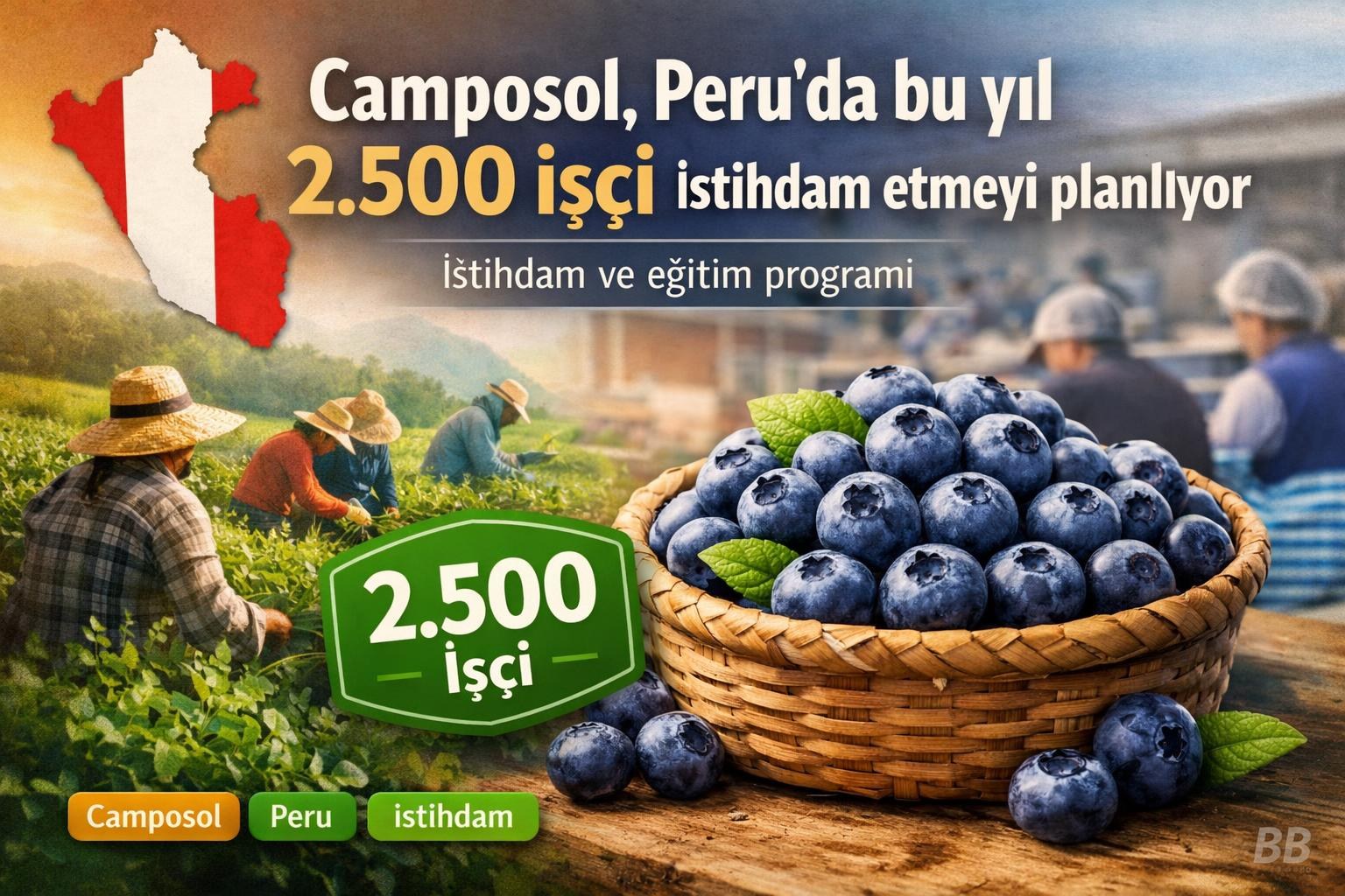 Camposol, Peru'da bu yıl 2.500 işçi istihdam etmeyi planlıyor görseli