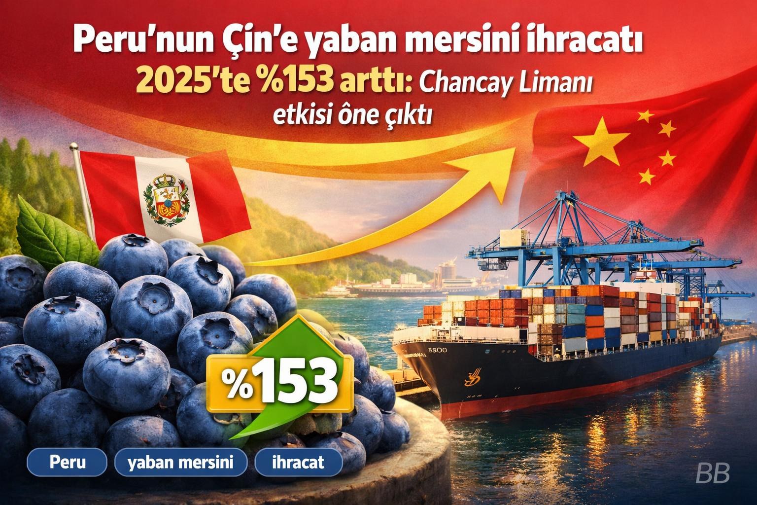 Peru’nun Çin’e yaban mersini ihracatı 2025’te %153 arttı: Chancay Limanı etkisi öne çıktı görseli