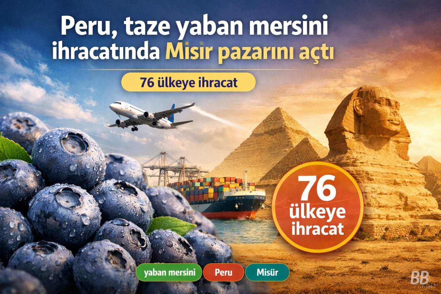 Peru, taze yaban mersini ihracatında Mısır pazarını açtı görseli