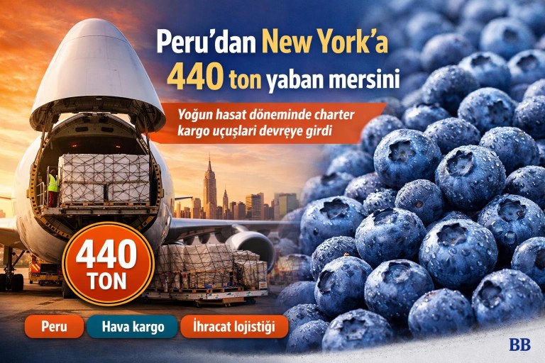 Peru’dan New York’a 440 ton yaban mersini: Yoğun hasat döneminde charter kargo uçuşları devreye girdi görseli
