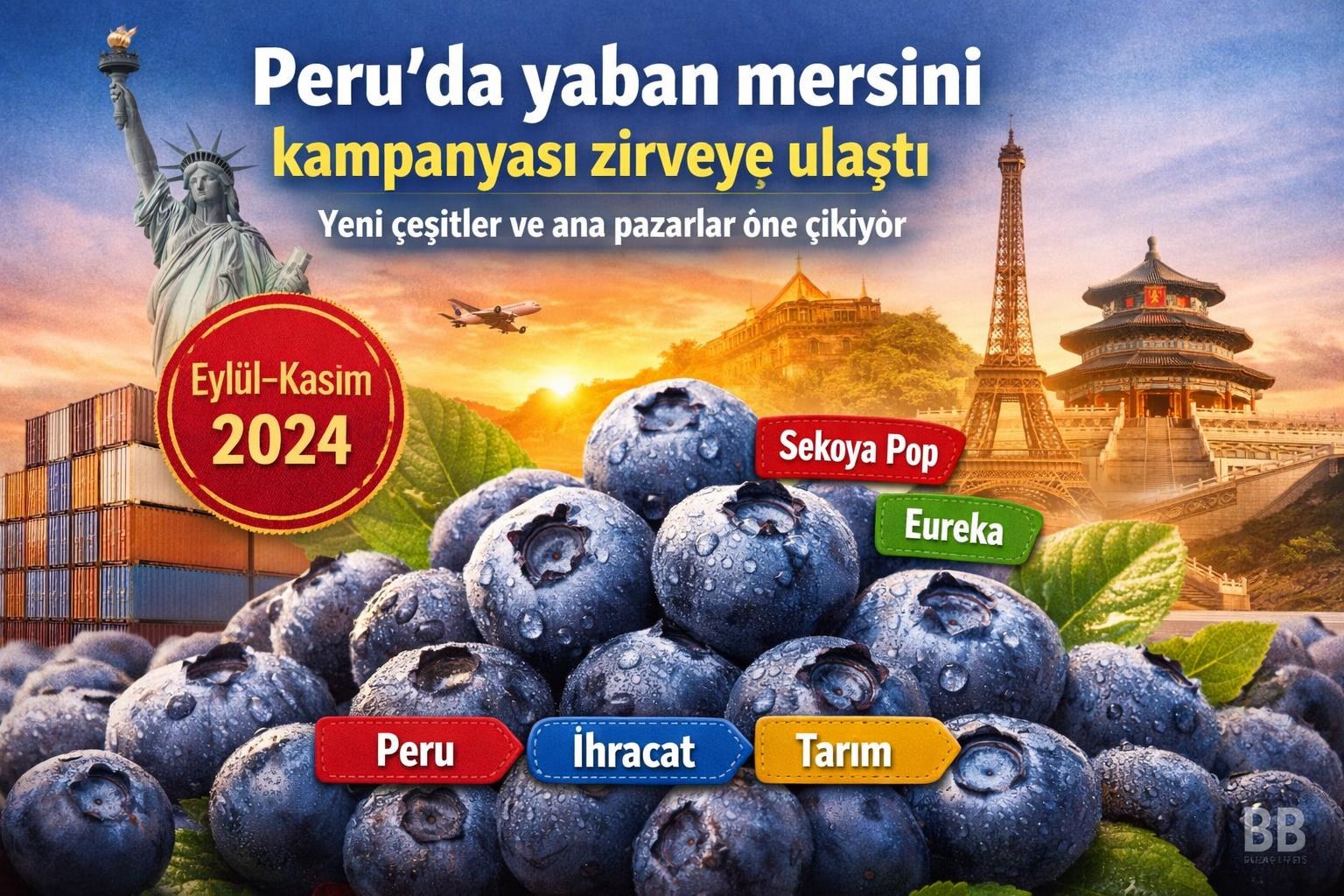 Peru'da yaban mersini kampanyası zirveye ulaştı: Yeni çeşitler ve ana pazarlar öne çıkıyor görseli