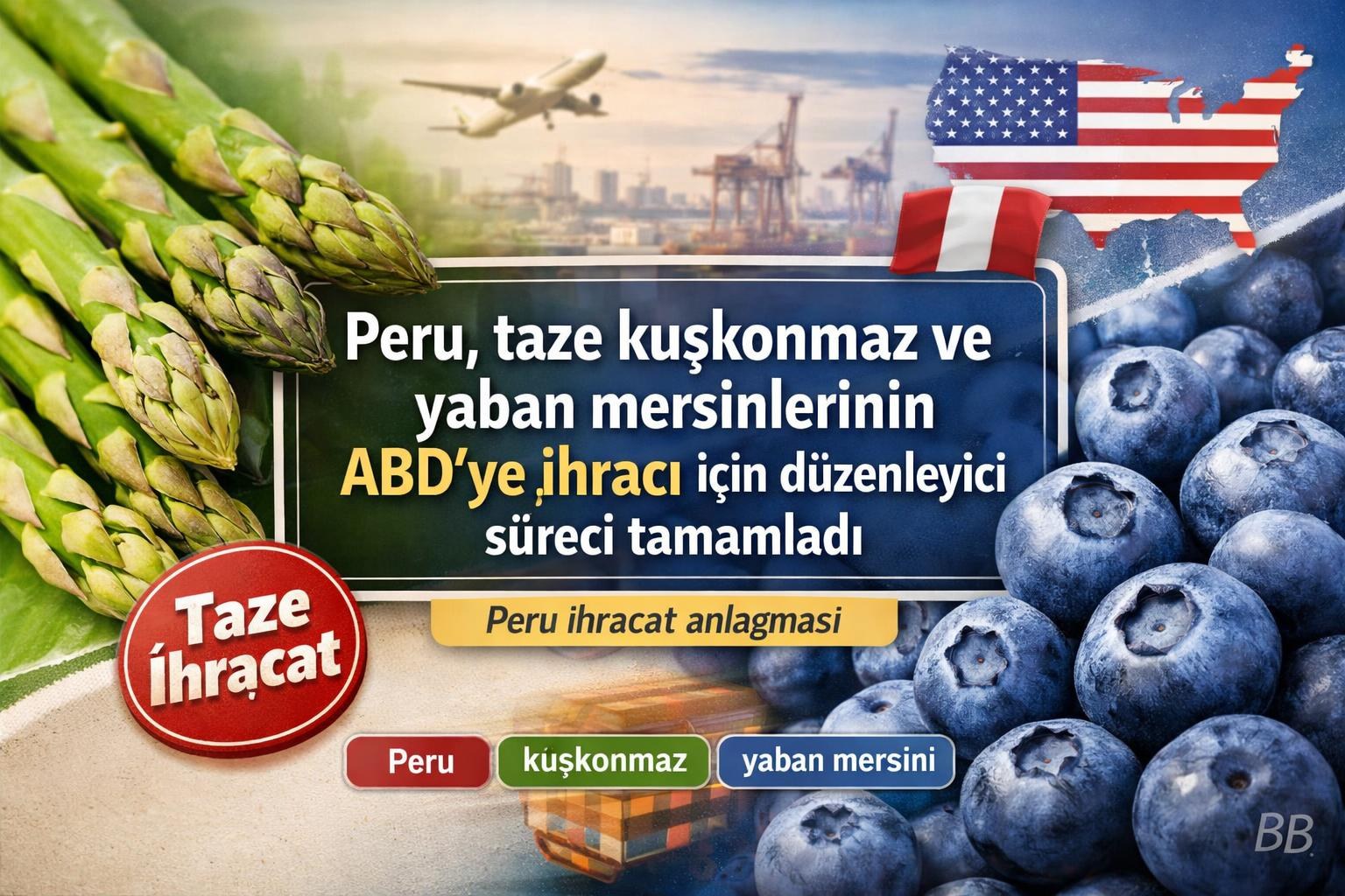Peru, taze kuşkonmaz ve yaban mersinlerinin ABD'ye ihracı için düzenleyici süreci tamamladı görseli