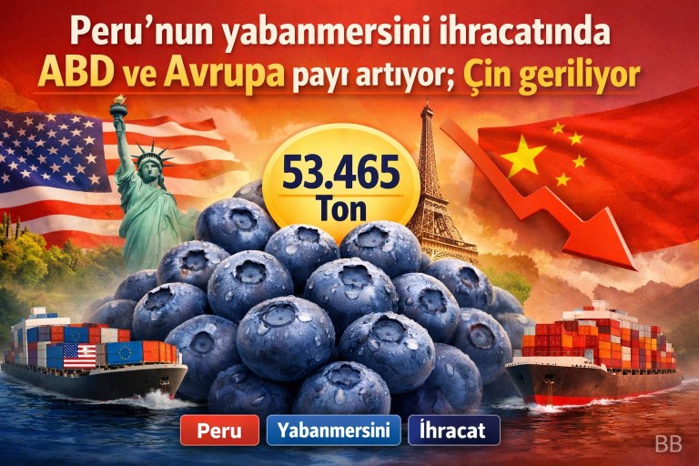 Peru'nun yabanmersini ihracatında ABD ve Avrupa payı artıyor; Çin geriliyor görseli
