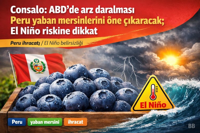 Consalo: ABD’de arz daralması Peru yaban mersinlerini öne çıkaracak; El Niño riskine dikkat görseli