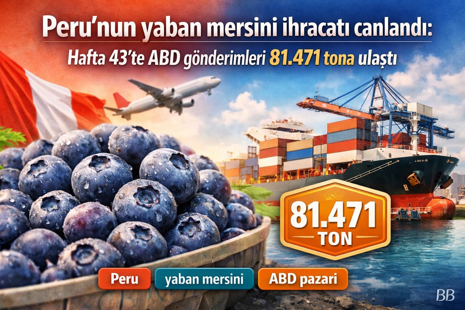 Peru'nun yaban mersini ihracatı canlandı: Hafta 43'te ABD gönderimleri 81.471 tona ulaştı görseli