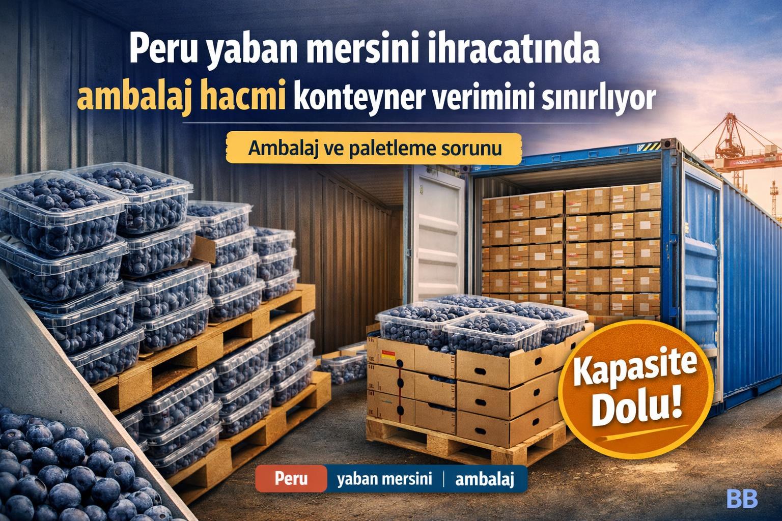 Peru yaban mersini ihracatında ambalaj hacmi konteyner verimini sınırlıyor gorseli