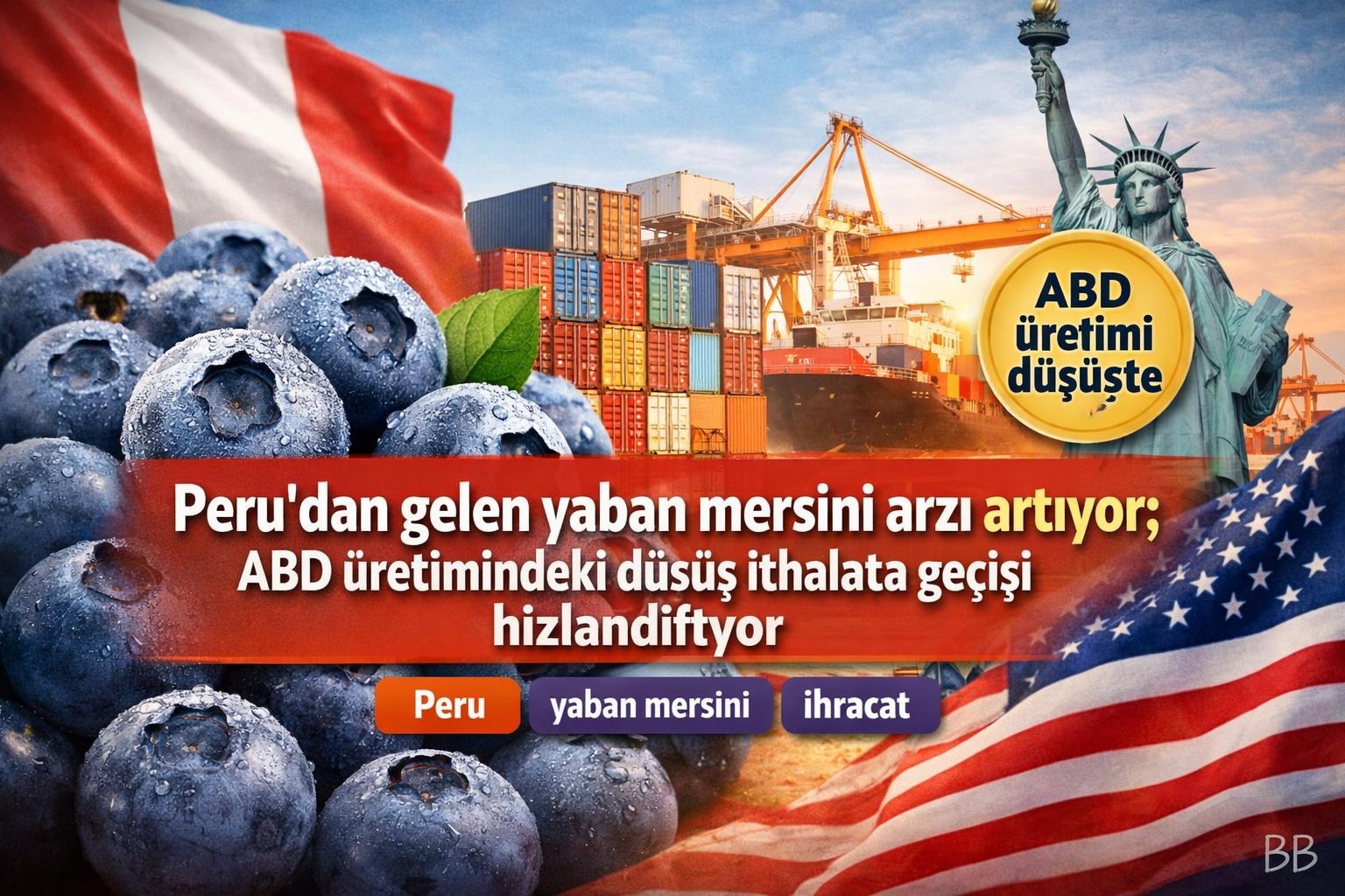 Peru'dan gelen yaban mersini arzı artıyor; ABD üretimindeki düşüş ithalata geçişi hızlandırıyor gorseli