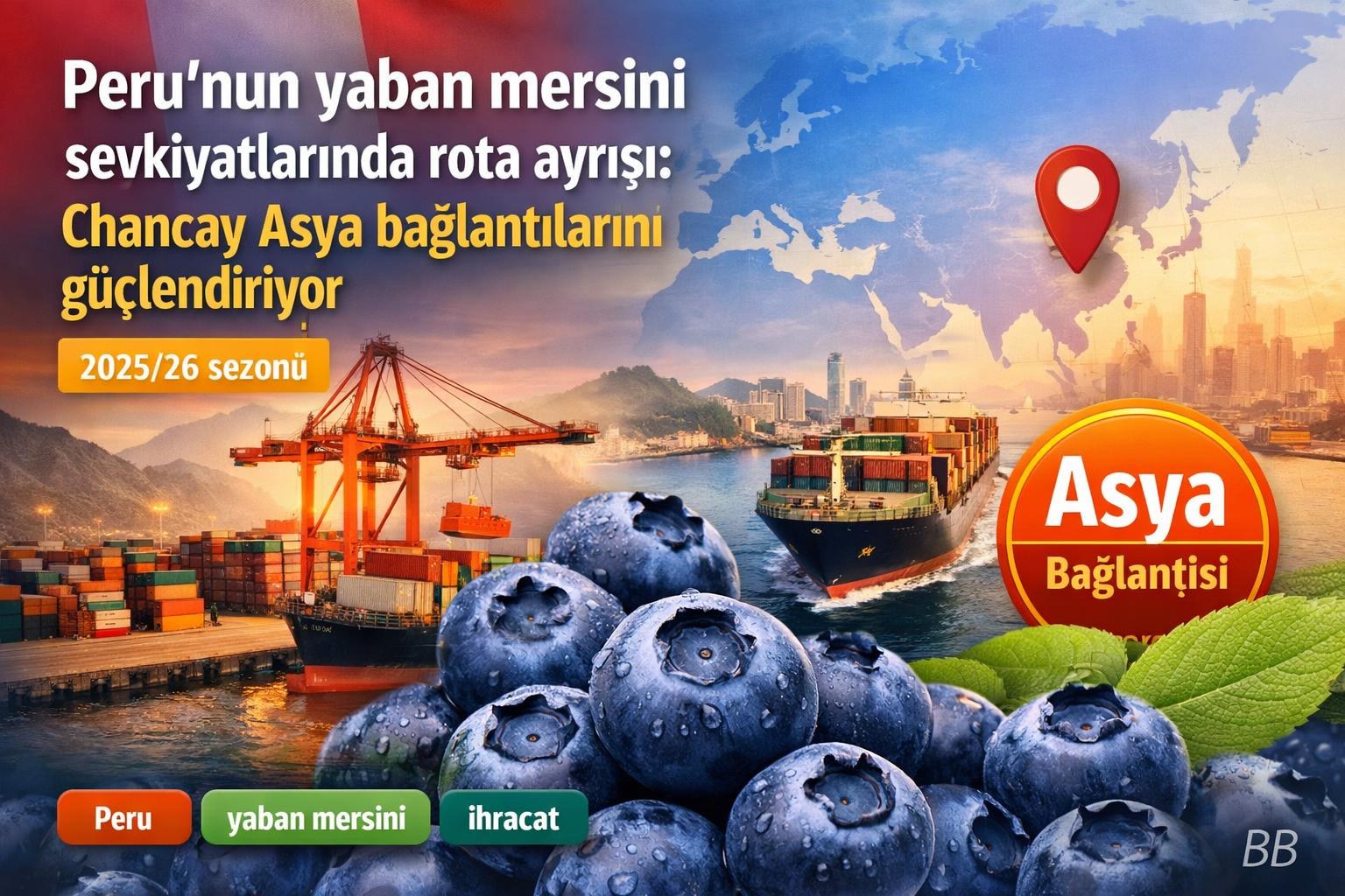 Peru’nun yaban mersini sevkiyatlarında rota ayrışı: Chancay Asya bağlantılarını güçlendiriyor görseli