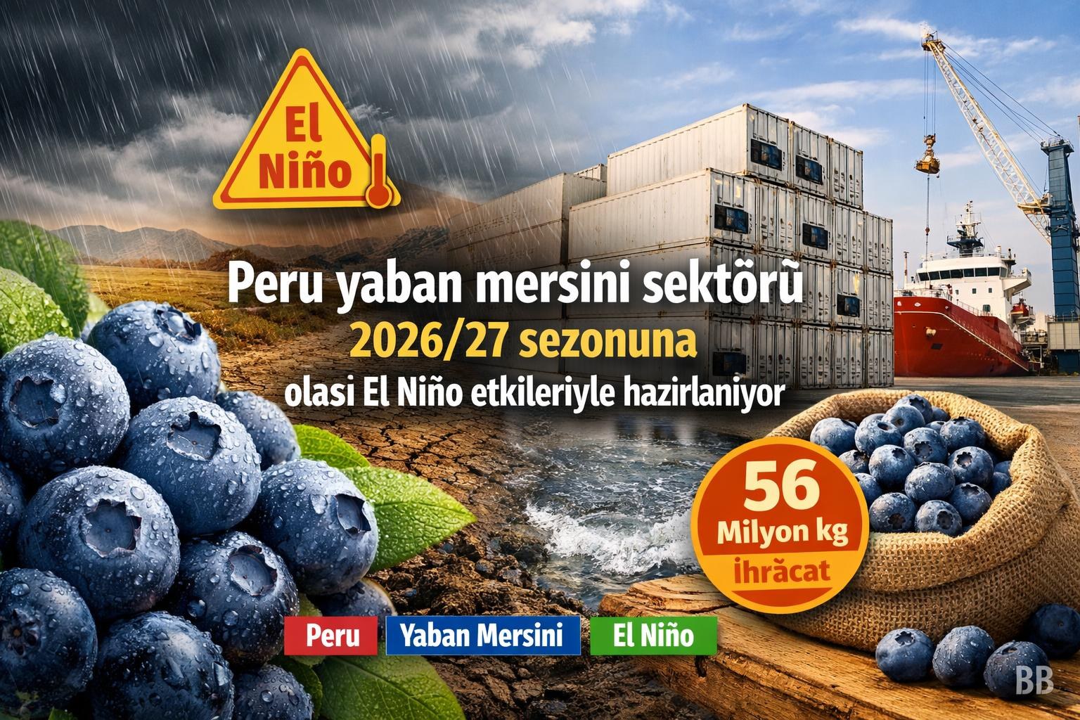 Peru yaban mersini sektörü 2026/27 sezonuna olası El Niño etkileriyle hazırlanıyor gorseli