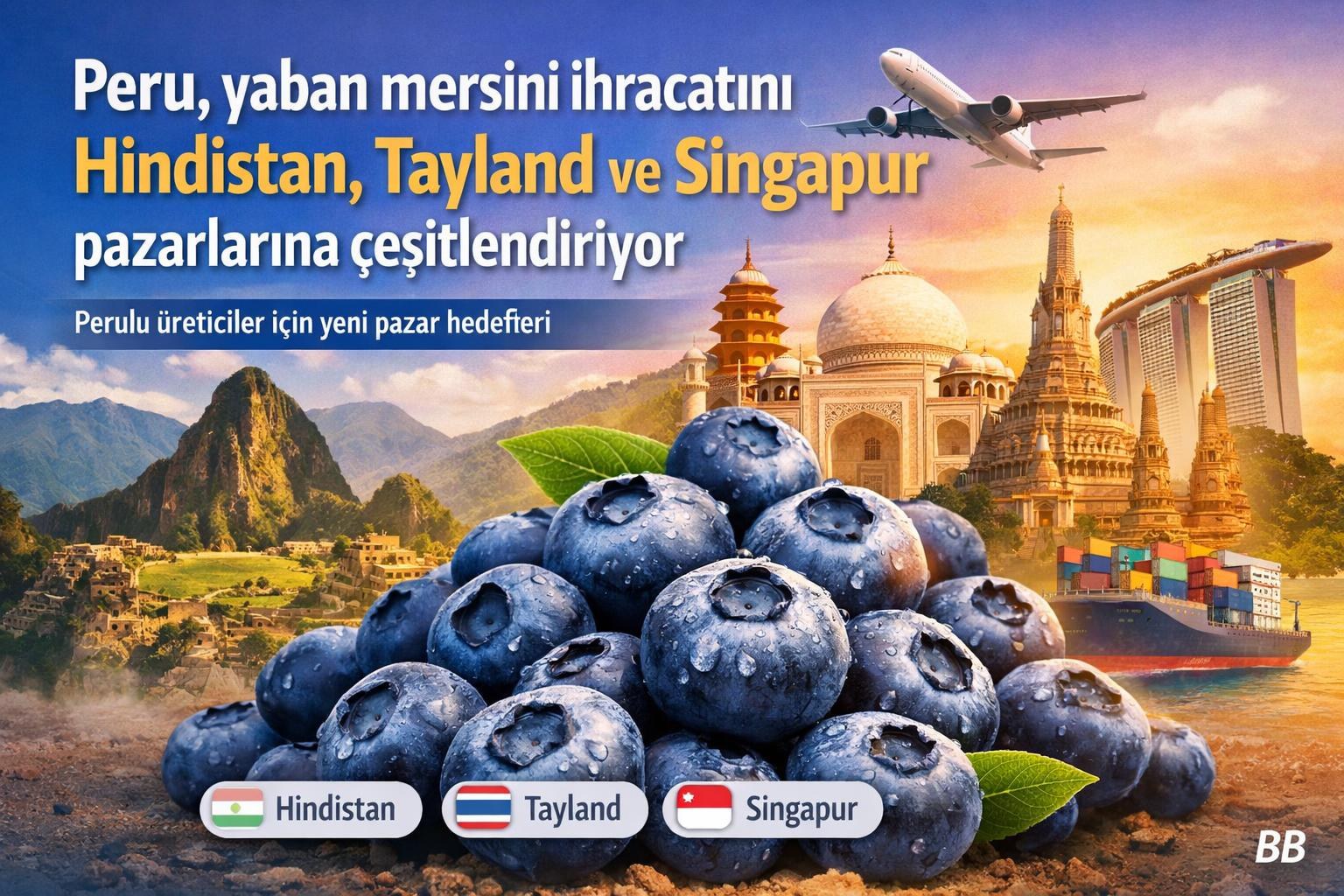 Peru, yaban mersini ihracatını Hindistan, Tayland ve Singapur pazarlarına çeşitlendiriyor gorseli