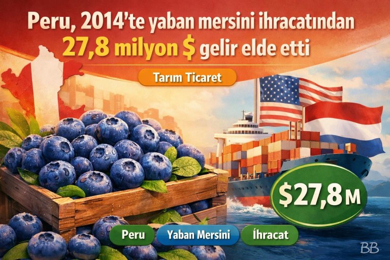 Peru, 2014'te yaban mersini ihracatından 27,8 milyon $ gelir elde etti görseli