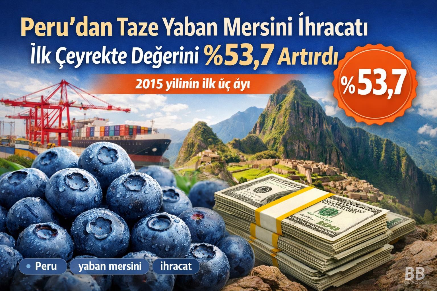 Peru'dan Taze Yaban Mersini İhracatı İlk Çeyrekte Değerini %53,7 Artırdı görseli