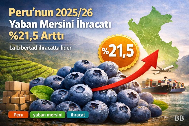 Peru'nun 2025/26 yaban mersini ihracatı %21,5 arttı; La Libertad ihracatta lider görseli
