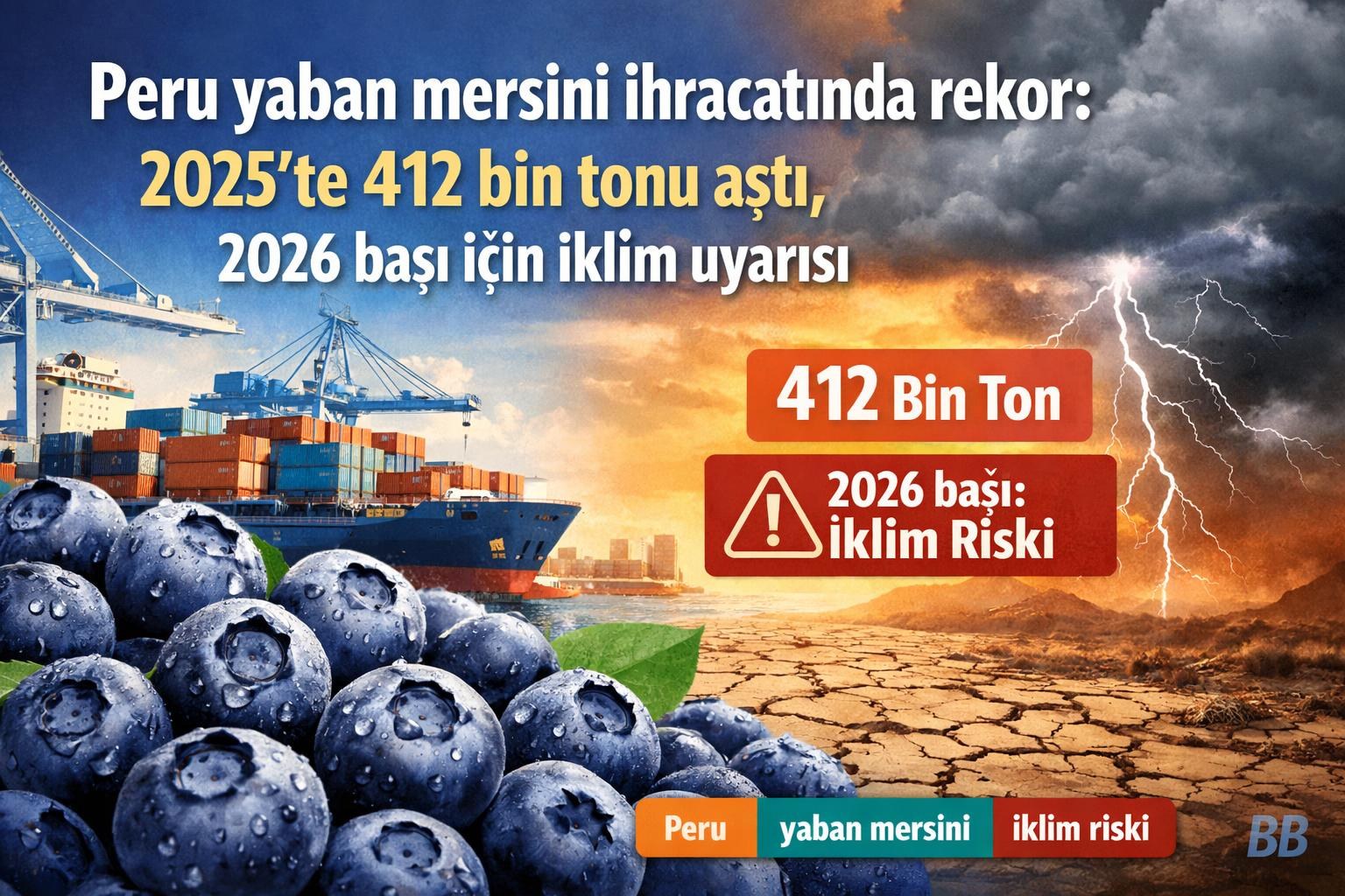 Peru yaban mersini ihracatında rekor: 2025’te 412 bin tonu aştı, 2026 başı için iklim uyarısı görseli