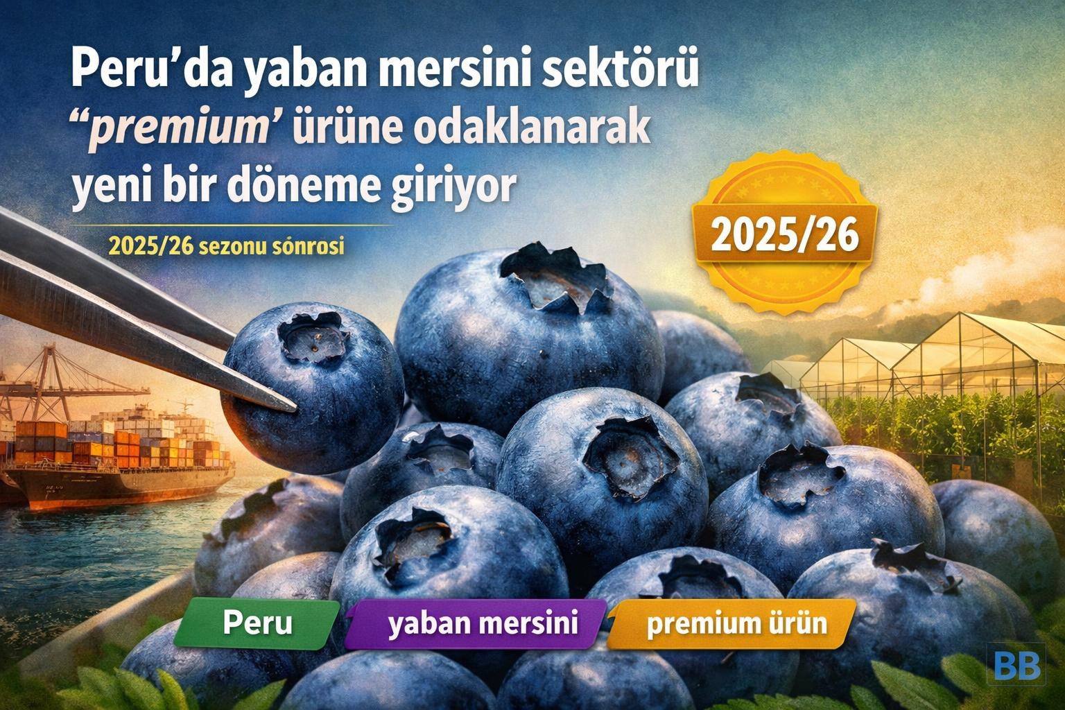 Peru'da yaban mersini sektörü 'premium' ürüne odaklanarak yeni bir döneme giriyor görseli