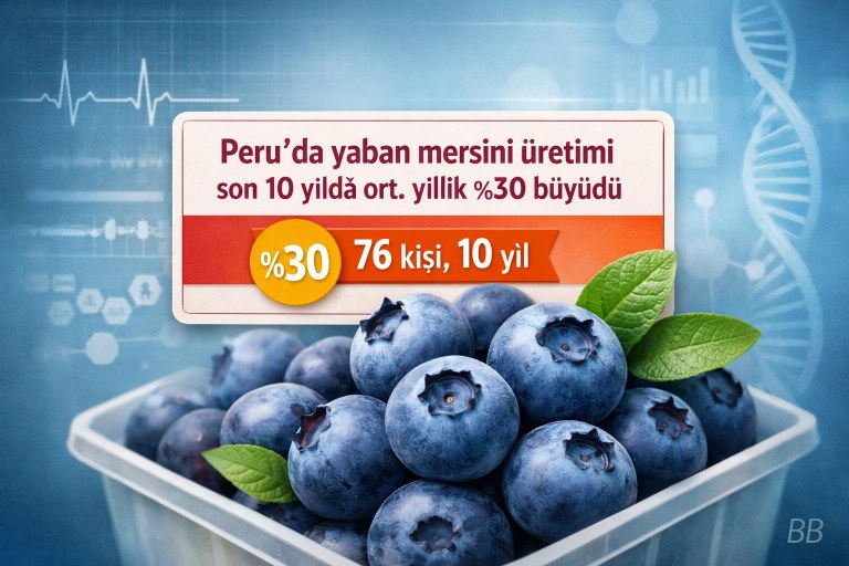 Peru'da yaban mersini üretimi son 10 yılda ort. yıllık %30 büyüdü görseli