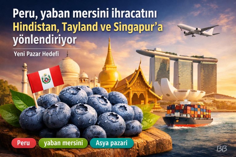 Peru, yaban mersini ihracatını Hindistan, Tayland ve Singapur'a yönlendiriyor görseli