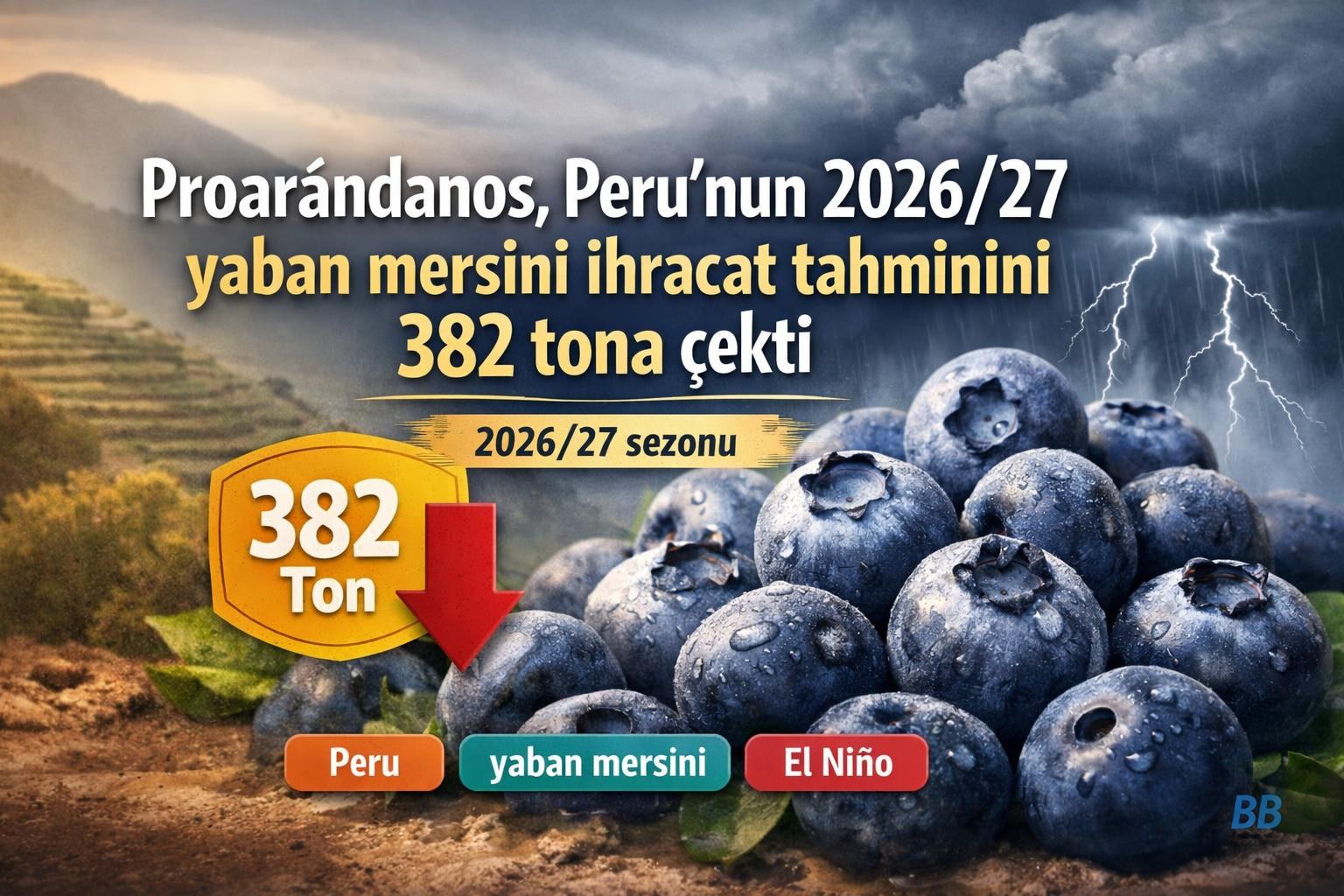 Proarándanos, Peru'nun 2026/27 yaban mersini ihracat tahminini 382 tona çekti gorseli