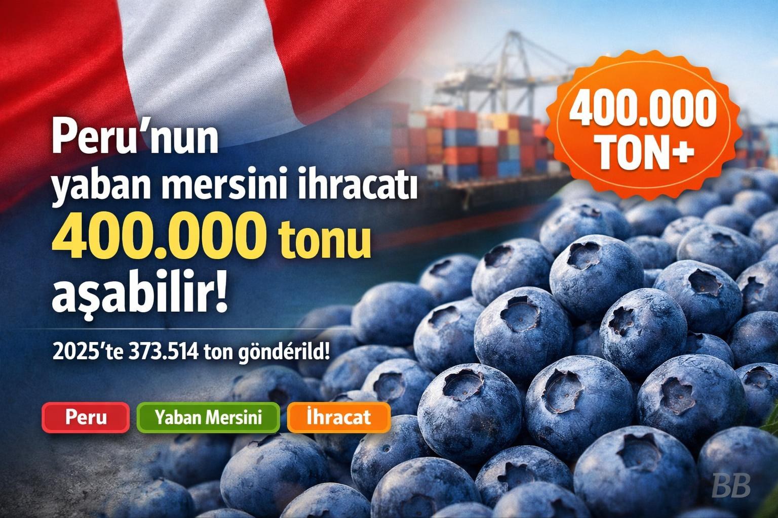 Peru'nun yaban mersini ihracatı 400.000 tonu aşabilir; 2025'te 373.514 ton gönderildi görseli