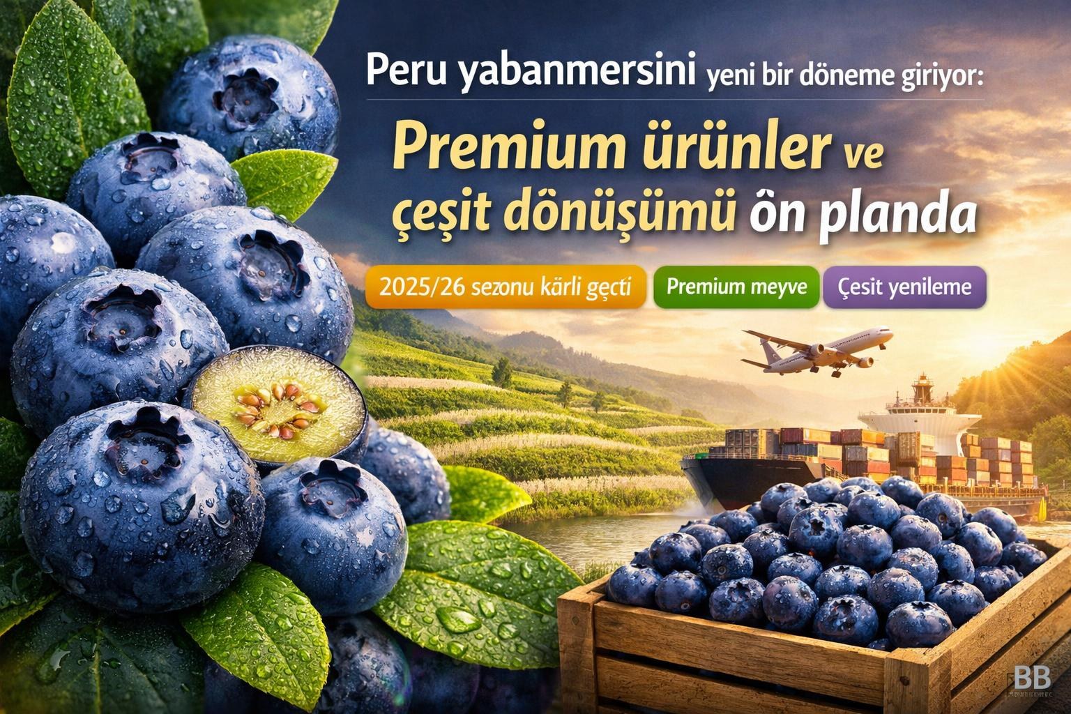Peru yabanmersini yeni bir döneme giriyor: Premium ürünler ve çeşit dönüşümü ön planda gorseli