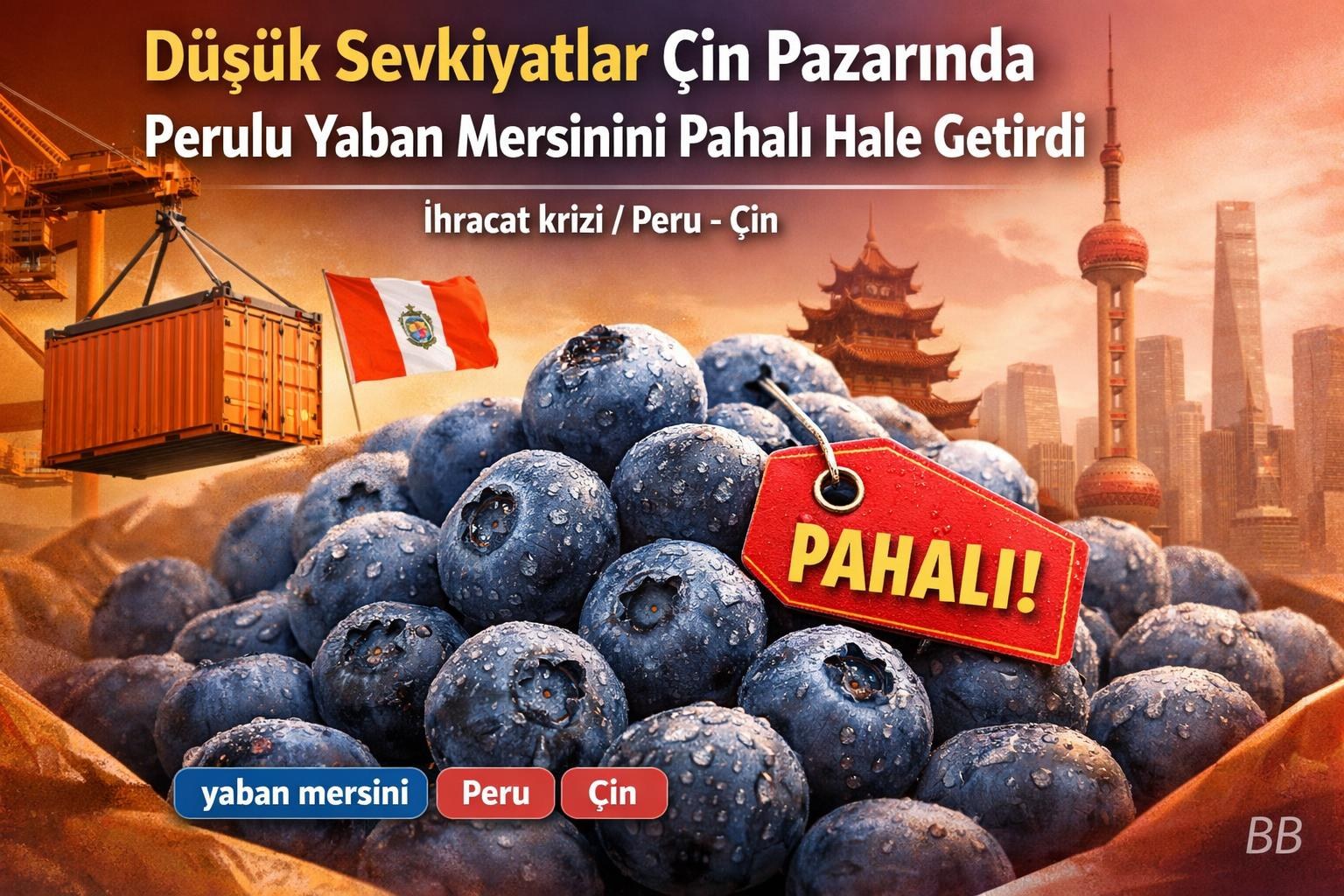 Düşük Sevkiyatlar Çin Pazarında Perulu Yaban Mersinini Pahalı Hale Getirdi görseli