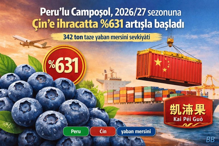 Peru'lu Camposol, 2026/27 sezonuna Çin'e ihracatta %631 artışla başladı görseli