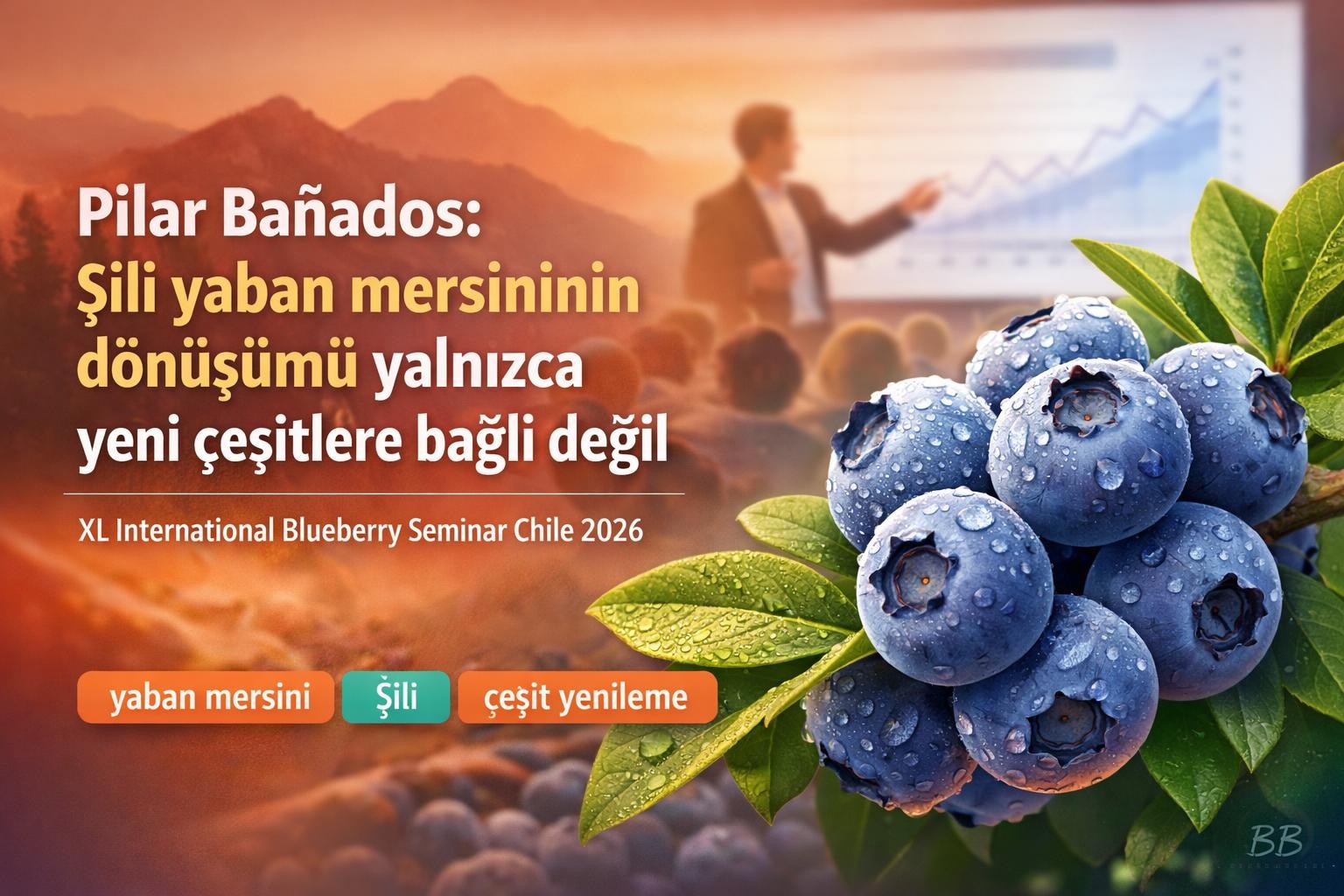 Pilar Bañados: Şili yaban mersininin dönüşümü yalnızca yeni çeşitlere bağlı değil görseli
