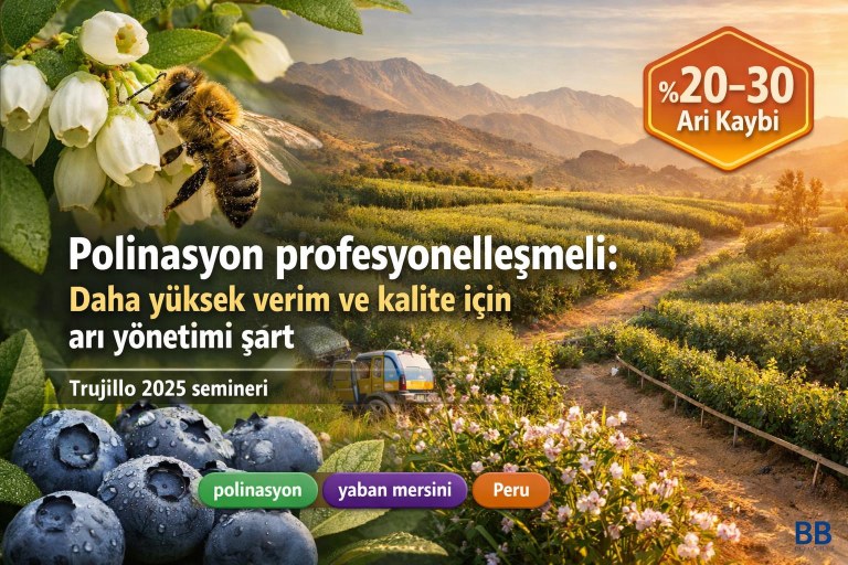 Polinasyon profesyonelleşmeli: Daha yüksek verim ve kalite için arı yönetimi şart görseli