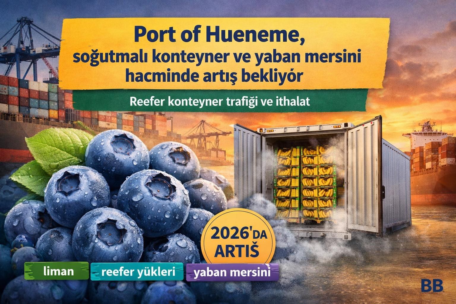 Port of Hueneme, soğutmalı konteyner ve yaban mersini hacminde artış bekliyor gorseli