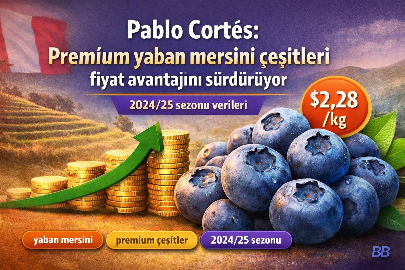 Pablo Cortés: Premium yaban mersini çeşitleri fiyat avantajını sürdürüyor görseli