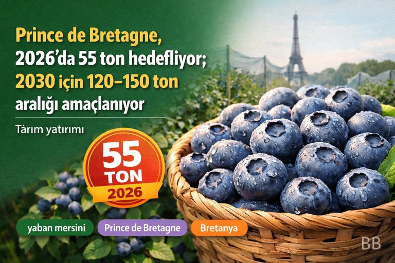 Prince de Bretagne, 2026'de 55 ton hedefliyor; 2030 için 120–150 ton aralığı amaçlanıyor görseli