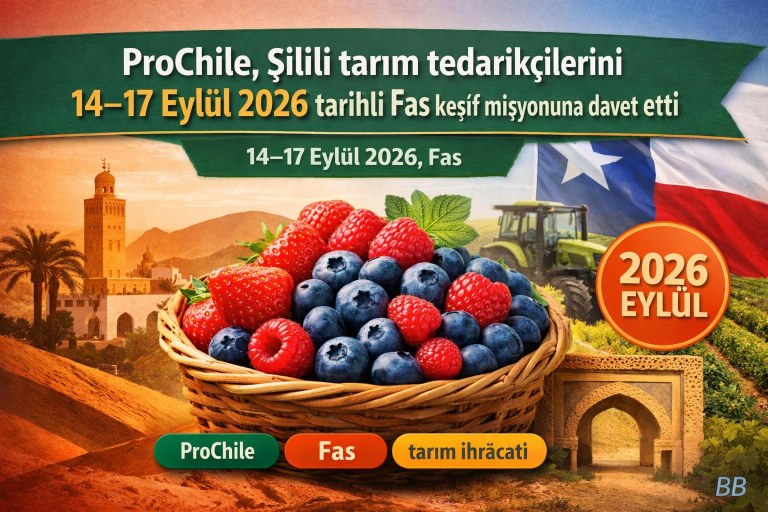 ProChile, Şilili tarım tedarikçilerini 14–17 Eylül 2026 tarihli Fas keşif misyonuna davet etti görseli