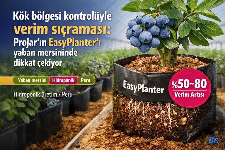 Kök bölgesi kontrolüyle verim sıçraması: Projar'ın EasyPlanter'ı yaban mersininde dikkat çekiyor görseli