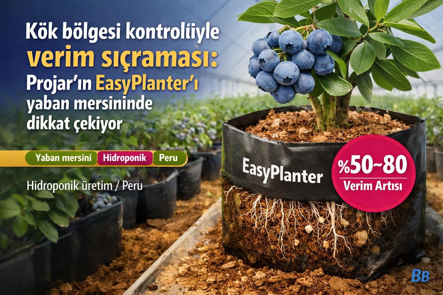 Kök bölgesi kontrolüyle verim sıçraması: Projar'ın EasyPlanter'ı yaban mersininde dikkat çekiyor gorseli